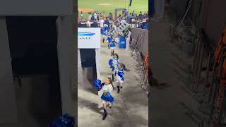 20250301台湾交流試合　ファイターズガールチア退場シーン　#日本ハムファイターズ #台北ドーム