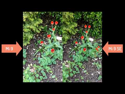 Xiaomi Mi 9 vs Mi 9 SE Video comparison