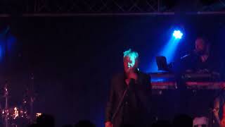 Paul Young - Love Will Tear Us Apart: Sheffield: 2018
