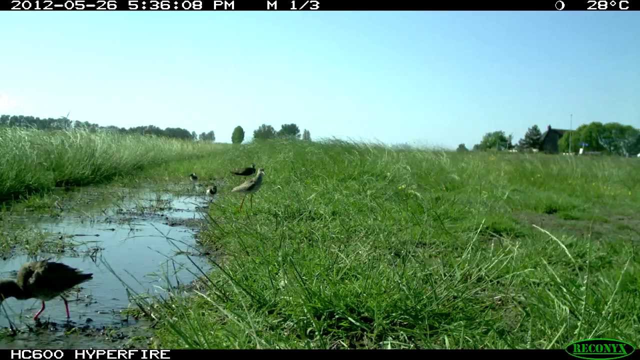 Timelapse: Land met droge en natte greppels