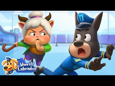 Granny Antel | 🌊 WaterCity Mystery | Safety Rules | Cartoon | Sheriff Labrador