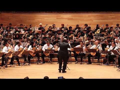 Orquesta de Guitarras de la República Mexicana - Huapango de Moncayo