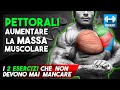 PETTORALI - come aumentare la MASSA MUSCOLARE - i 2 esercizi MUST secondo LA SCIENZA