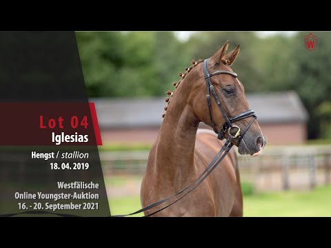 Youngster Online-Auktion Lot 04 Iglesias Hengst v. Asgard's Ibiza - Denario