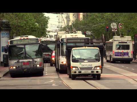 يا ورد مين يشتريك