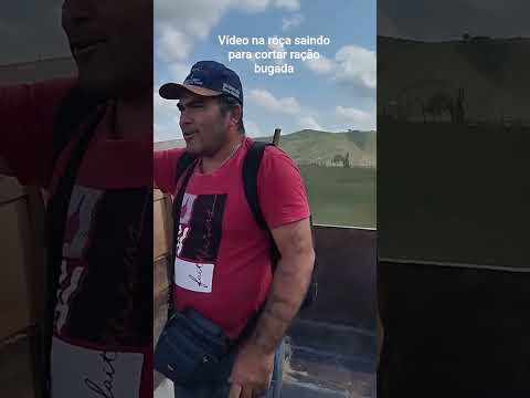 hashtag agronomia saindo para cortar capim para o gado no trator na fazenda na Paraíba