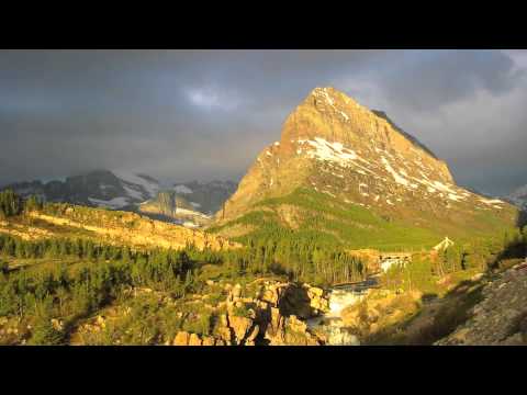 Majestic Griz FINAL CUT WITH WASIS DIOP