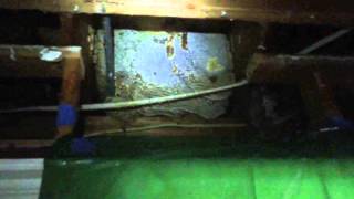 Bee Removal 079 - Bees in Floor Joist and Window Box - Kingwood, TX 10/23/15