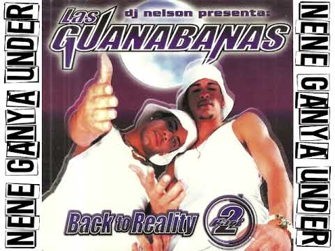 BACK TO REALITY PART 2 - LAS GUANABANAS (1999) [CD COMPLETO][MUSIC ORIGINAL]
