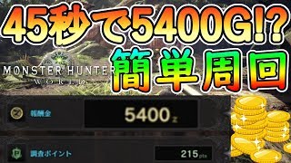 【MHW】45秒で5400G！簡単金策周回を紹介