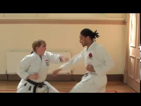 Sensei Rose Tumminello vs Reuben Lindo (AKA Little Narstie)