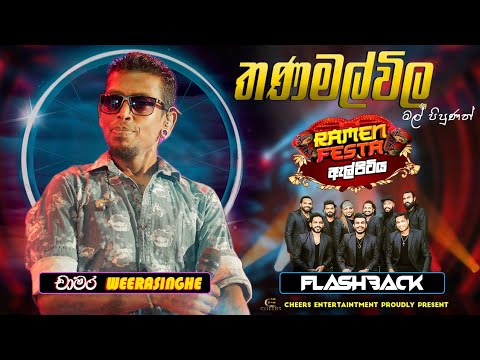 Thanamalwila Mal (තනමල්විල මල් ) Chamara Weerasinghe | Ramen Festa With Flashback Elpitiya
