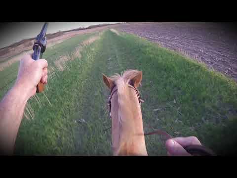 Colt M1873 vs S&W No3 Schofield - Reloading The Two Iconic Cavalry Revolvers