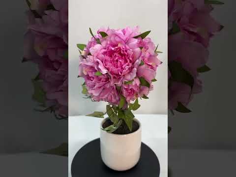 Gambar Forhom Bunga Artifisial Peony Bush Dengan Pot 20x20x32 cm Random