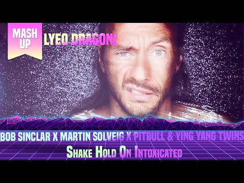Bob Sinclar x Martin Solveig x Pitbull & Ying Yang - Shake Hold On Intoxicated (Lyeo Dragoni Mashup)