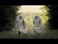 YOUNG GALAXY 'Phantoms' [OFFICIAL VIDEO ...