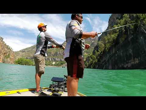 Doble Bass Master Alberic Julio'21