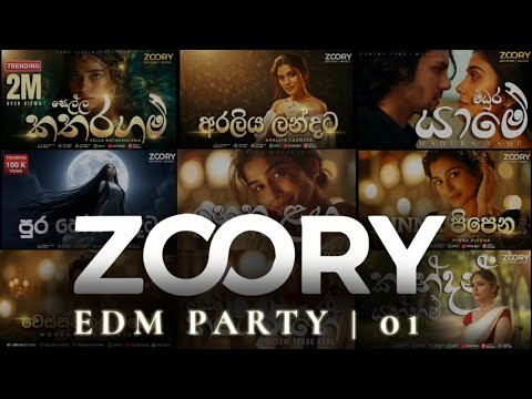ZOORY | EDM Sinhala Cover Songs Collection 01 | Party Vibe