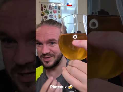 RLR Beer Short: Cerveza Granizo - Plateaux (#Chile) #Beer #CraftBeer