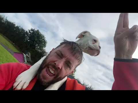 MC Daycent - Bad Habits (cover of Ed Sheeran - Bad Habits)