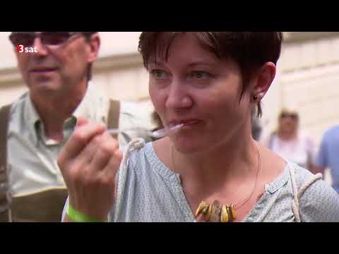 Auf kulturell kulinarischen Spuren - Eine Entdeckungsreise entlang der Wachaubahn Doku (2018)