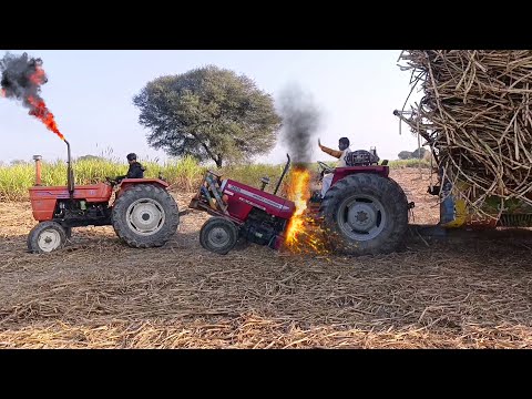 alghazi tractor unbelievable power | mf 385 tractor power fails | sugarcane tractor trolley video