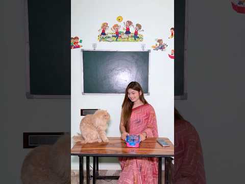 Monty ne banaya Handwash😱|| Jashvi Vishvi || #shorts #trending #youtubeshorts #viral