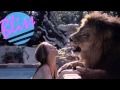 Blood Diamonds - Phone Sex ft.Grimes 