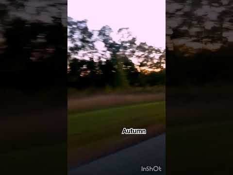 Autumn (music ATB - The Autumn Leaves) @Serik532