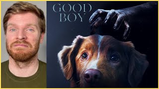 Good Boy - Review: Horror from a Dog's Perspective