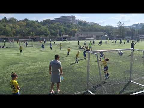 Video-Miniaturansicht