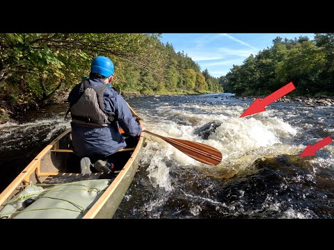 Reading the Rapids: White Water on the River Spey, Scotland.
