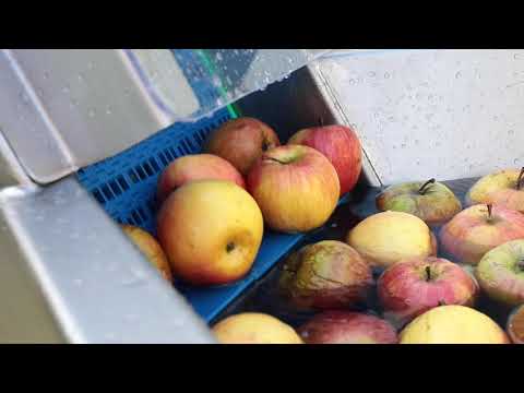 Fruit Washing System With Screw Elevator