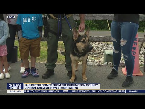 Burlington City Police adopts a new K-9 | Good Day Philadelphia