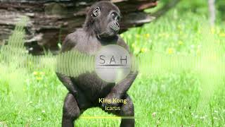 Icarus - King Kong