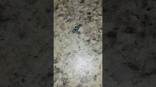 How to remove a Frigidaire microwave handle.