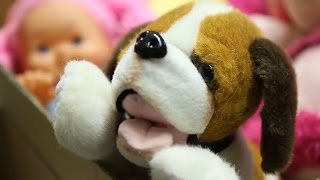 ​The power of wishes (EN version)