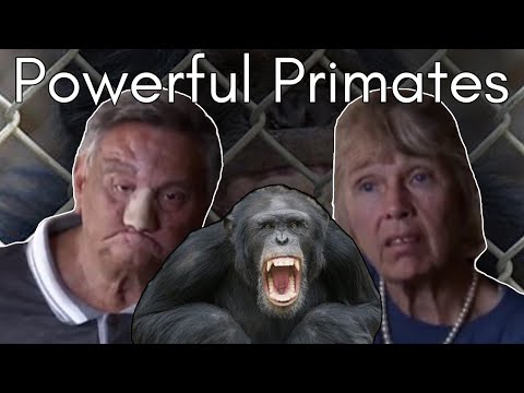 Chaos, Escape and Carnage: The Tragic Case of a Chimp “Child” (Moe, St. James & Ladonna Davis)