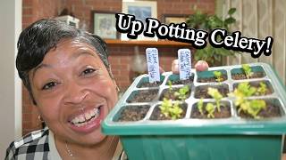 SOWING Seeds For A Beautiful Garden!