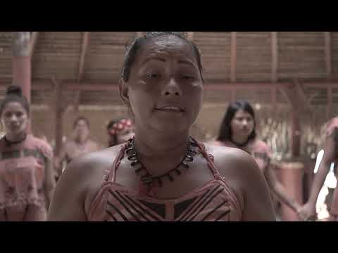 Registros de ensaio #4