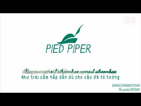 [VIETSUB + KARA] Pied Piper - BTS