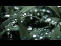 3 Hours Heavy Rain Sounds And Jazz Take Five Healing Relaxing Sleeping Nature Sounds