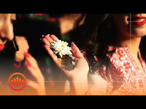 حنة العرايس الليلة حنا العرايس يا سلام سلم أحمد الكيلاني