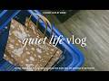 ️ New IPad Health Diagnosis Not So Good VLOG W Shopping Studying German Silent Vlogs