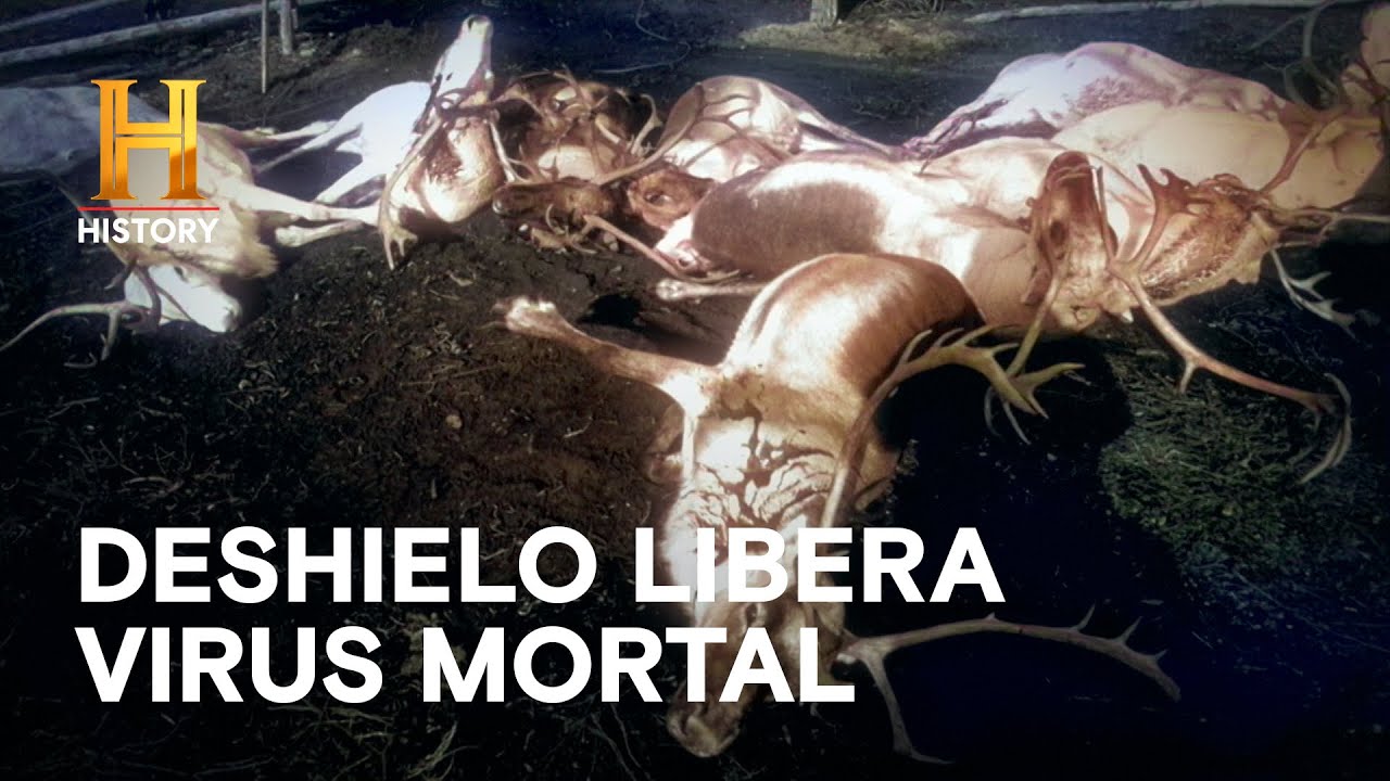 Ántrax en Siberia y Vampiros de Nueva Inglaterra - MISTERIOS INEXPLORADOS CON DANNY TREJO