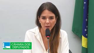  Plano de trabalho e votação de requerimentos - 13/05/2026 15:30