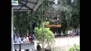 2ª ETAPA DO CAMPEONATO ESTADUAL 2019 - RJ