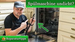 Spülmaschine undicht / Türdichtung defekt - Reparaturanleitung