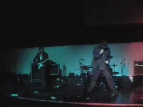 THE CLERICALZ - TABBYCAT LIFESTYLE Official video