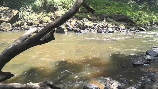 preview picture of video 'Cachoeira Do Glim em Rurópolis-PA'